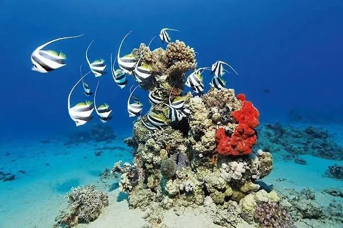 Desert & Sea Haven *