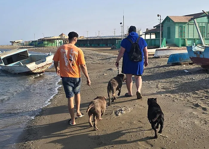 Desert & Sea Haven Marsa Alem